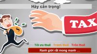 CÓ BÍ KÍP "TRÁNH THUẾ" CẦN GÌ PHẢI "TRỐN THUẾ"
